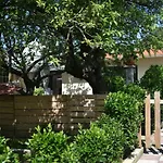 Jardin, Terraza Y Barbacoa Apartamento O Grove