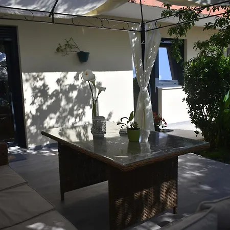 Jardin, Terraza Y Barbacoa 아파트