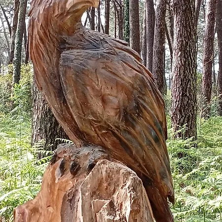 Jardin, Terraza Y Barbacoa Daire *