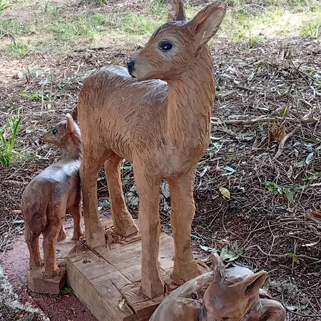 Jardin, Terraza Y Barbacoa Daire O Grove