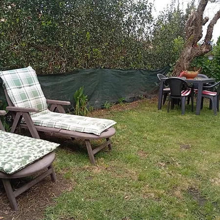 Jardin, Terraza Y Barbacoa O Grove