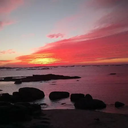 Jardin, Terraza Y Barbacoa *